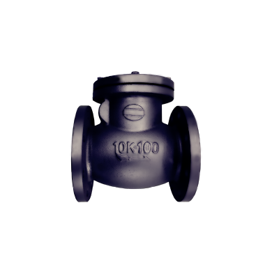 Swing Check Valve