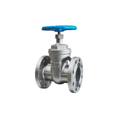 Gate Valve (Flange type) 