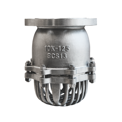 Foot Valve