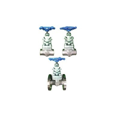 Stainless Forged Steel Globe Valve (Screw, Socket Weld, Flange type)