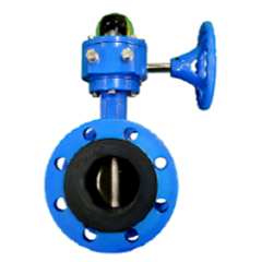 Butterfly valve (Flange type)