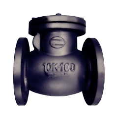 Swing Check Valve