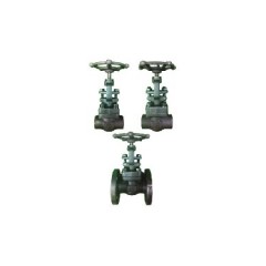 Forged Steel Globe Valve (Screw, Socket Weld, Flange type) 