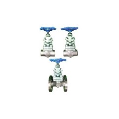Stainless Forged Steel Globe Valve (Screw, Socket Weld, Flange type)