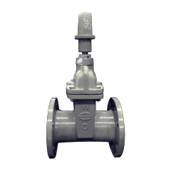 Resilient Seated Gate Valves for Water Works