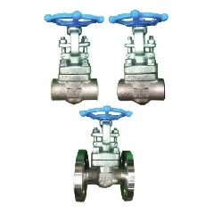 스테인리스 단조 게이트...