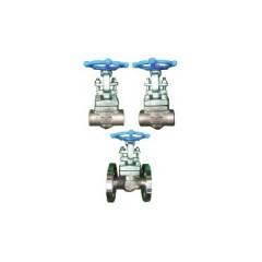 Stainless Forged Steel Gate Valve (Screw, Socket Weld, Flange type)