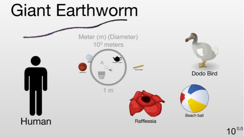 Scale of the Universe 2