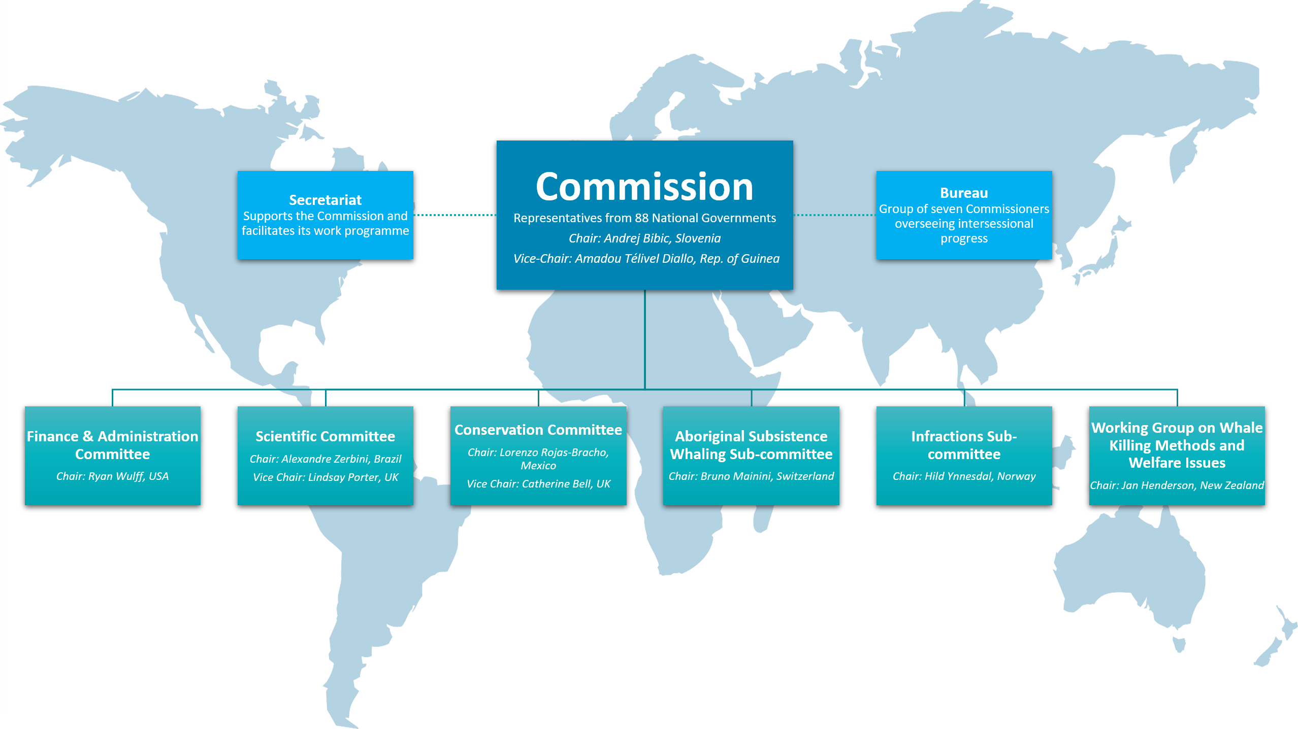 organisational chart sep 2021 blue