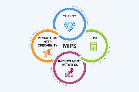 Illustration for the MIPS categories landing page