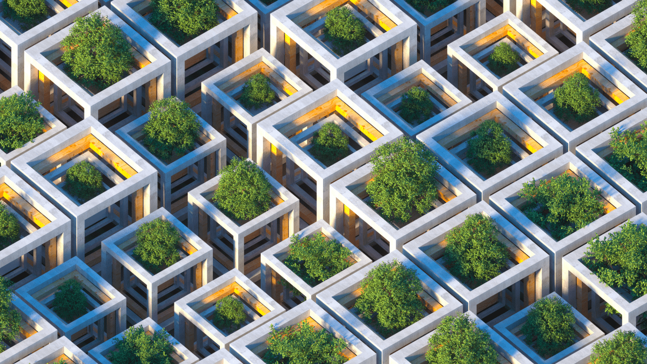 3D illustration of trees being planted and growing in an organized layout