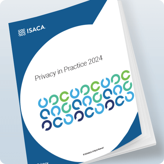 Privacy in Practice 2024 Report