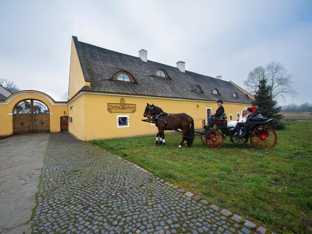 Jízda na koni v hotelu nebo okolí