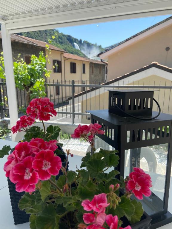 un balcone con fiori rosa in vaso di Marmore Charming House a Terni