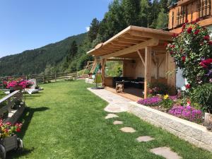 einen Hinterhof mit einer Pergola mit einem Hund darunter in der Unterkunft Zehrehof in Brixen