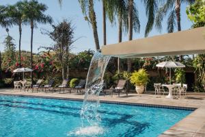 une fontaine dans une piscine entourée de chaises et de palmiers dans l'établissement Hotel Nacional de Rio Preto - Distributed by Intercity, à Sao Jose do Rio Preto