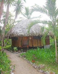 Cabaña pequeña con techo de paja y palmeras en Sun Creek Lodge en Punta Gorda