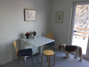 um cão numa sala com uma mesa e cadeiras em Fjällstuga em Idre