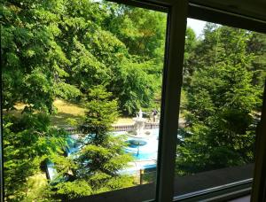 Elle offre une vue sur la piscine depuis sa fenêtre. dans l'établissement Hotel Herastrau, à Bucarest