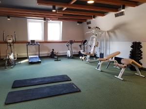 Salle ou équipements de sports de l'établissement Hotel Alpina