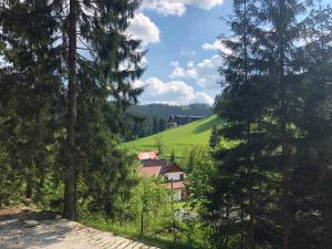 Peisaj natural din apropierea acestei cabane