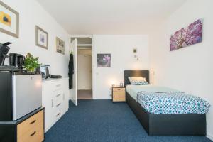 1 dormitorio con 1 cama y vestidor en Enschede en Enschede