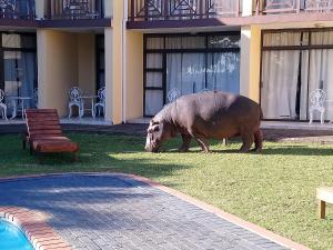 een groot nijlpaard in het gras bij een zwembad bij Elephant Lake Hotel in St Lucia