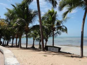 rząd palm na plaży z oceanem w obiekcie Expresso R1 w mieście Maceió