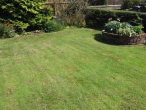 a yard with green grass and two flower pots at firtrees in Selby