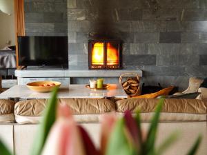 a living room with a couch and a fireplace at Koski-Ketola in Kokemäki