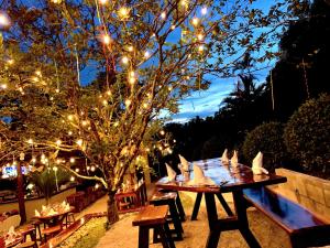 - une table de pique-nique avec des lumières et un arbre dans l'établissement Hotel Playa Espadilla & Gardens, à Manuel Antonio