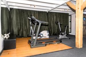 een fitnessruimte met 2 hometrainers en een loopband bij Two-Bedroom Wellness House in Balkbrug