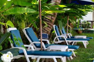 A garden outside Tea Tree Boutique Resort