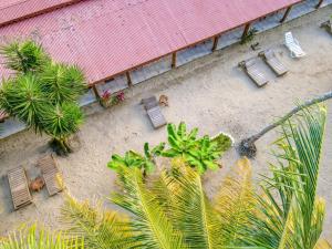 una vista sul soffitto di un patio con sedie e alberi di Yucca Beachfront Hotel a Puerto Viejo