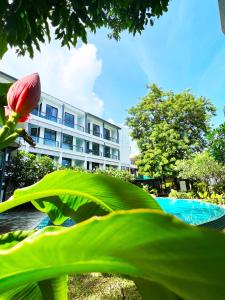 une grande feuille verte avec un bâtiment en arrière-plan dans l'établissement Z&Z Resort, à Rawai Beach