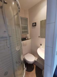 a white bathroom with a toilet and a sink at 2 pièces au cœur de trouville / rue des bains in Trouville-sur-Mer