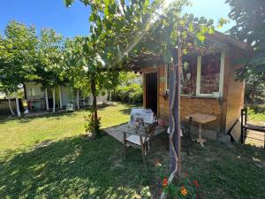 Vrt pred nastanitvijo Elbasan Backpacker Hostel