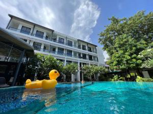 Piscine de l'établissement Z&Z Resort ou située à proximité