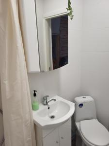 Old Town Apartment nr 2 tesisinde bir banyo