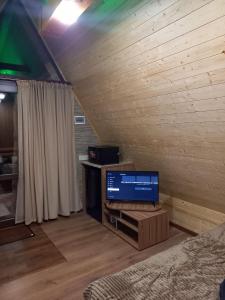 ein Wohnzimmer mit einem TV an einer Holzwand in der Unterkunft Woodland cottages in Zaghkadsor