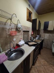 מטבח או מטבחון ב-Guest House Mandrivnyi Rooms&Apartments