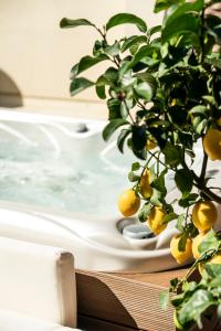 una planta sentada en una mesa junto a una bañera en Crocus Apartments en Sirmione