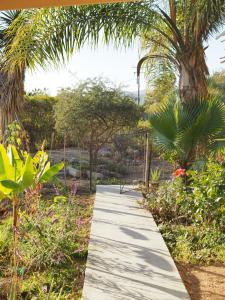 un vialetto in un giardino con fiori e alberi di Mystic Breeze a El Pescadero