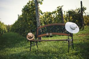 Jardí fora de La Bosca agriturismo