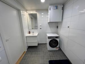 baño pequeño con lavadora y lavamanos en Lofoten Studio Apartment, Vestermyrveien 11 Svolvær en Svolvær