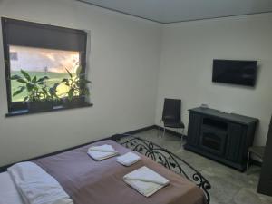 1 dormitorio con cama, ventana y TV en Loft wood en Mukacheve