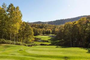 uitzicht op een golfbaan met een rivier en bomen bij Park Hyatt Niseko Hanazono in Kutchan