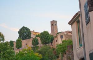 Houses of Motovun kat planı