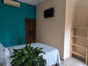 a bedroom with a plant and a tv on the wall at Hotel y Restaurante Casa Jardines in San Benito