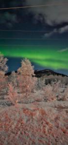 Naturlandskap nära semesterhuset